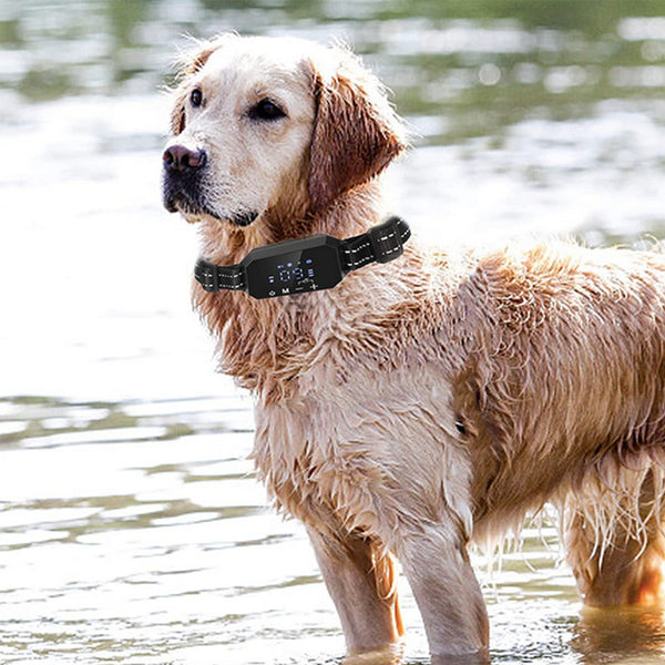 GPS Wireless Dog Fence and Trainer for Pet Safety