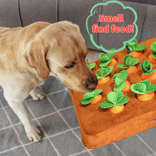 Durable Carrot Plush Dog Toy